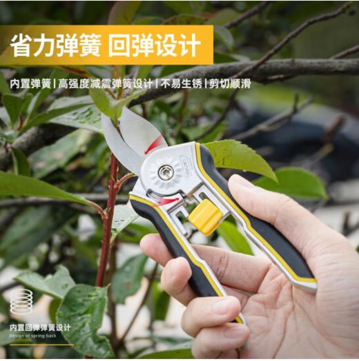 得力DL580243园艺剪套装精品装2件套(黑) 商品图1