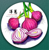 《 “让人流泪的蔬菜”洋葱》【自动发货：下单后，点击手机短信中收到的链接，即可获取文件下载的链接；如有任何问题，可添加客服微信hm33268获得帮助】 商品缩略图0