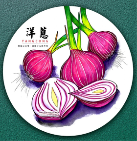 《 “让人流泪的蔬菜”洋葱》【自动发货：下单后，点击手机短信中收到的链接，即可获取文件下载的链接；如有任何问题，可添加客服微信hm33268获得帮助】