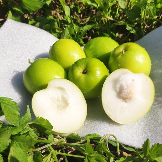 【YQ严选】台湾牛奶贵妃枣 台湾引进 福建种植 精品贵妃枣 脆甜无渣（送酸梅粉） 商品图2