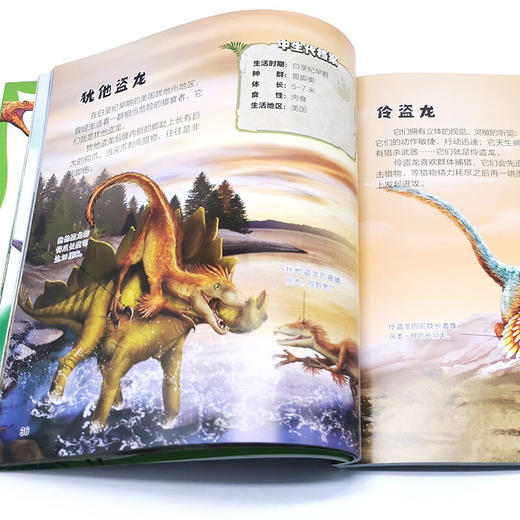 恐龙图典 让孩子着迷的106种恐龙 3-6岁 孙雪松 著 科普百科 商品图3