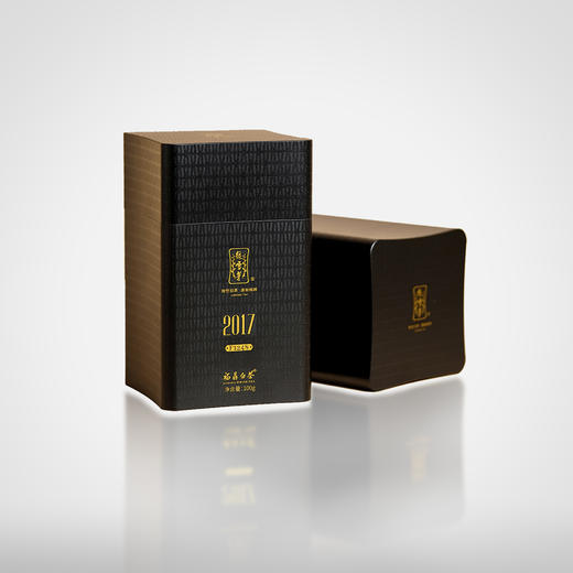 珍稀年份·2017年白毫银针100g 商品图0