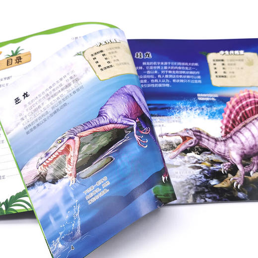 恐龙图典 让孩子着迷的106种恐龙 3-6岁 孙雪松 著 科普百科 商品图1