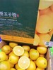 高原王子橙一箱（拼团） 商品缩略图1