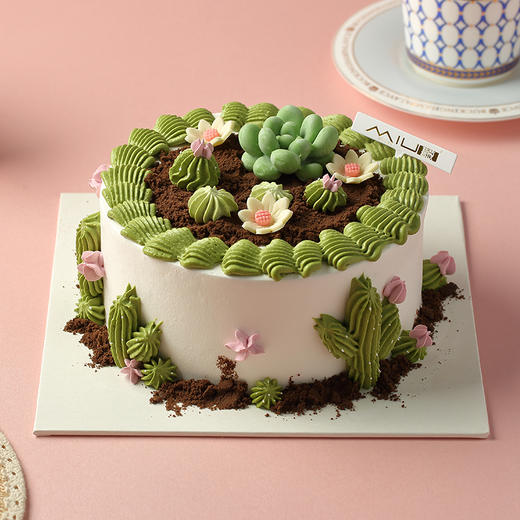 多肉花园芒果椰奶蛋糕 商品图2