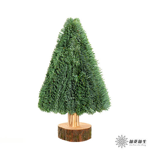 丹麦花材 |  三角形诺贝松圣诞树 商品图3
