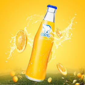 北冰洋桔汁汽水玻璃瓶248ml（A）