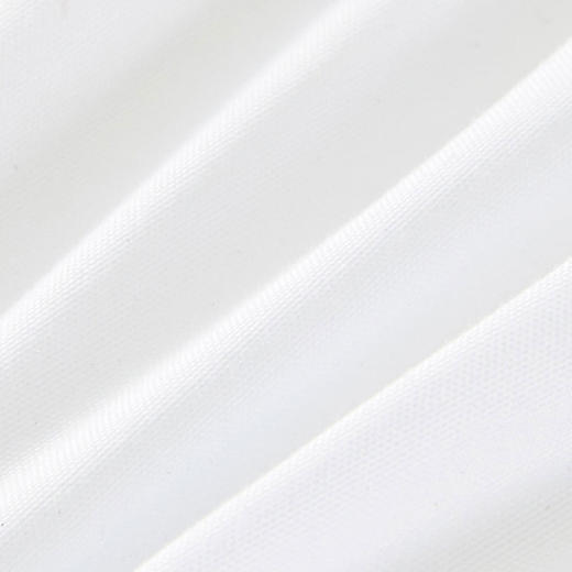 罗莱依莎抗菌对枕 商品图5