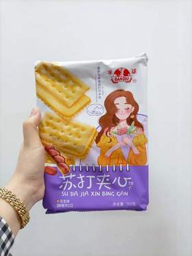 半球 苏打夹心饼干 花生味 260g  6922251726086