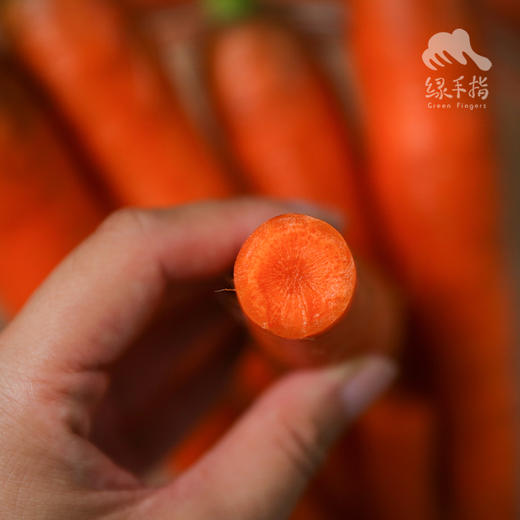 生态胡萝卜 | 合作生产*ecological salad vegetable box  | Coproduction 商品图3