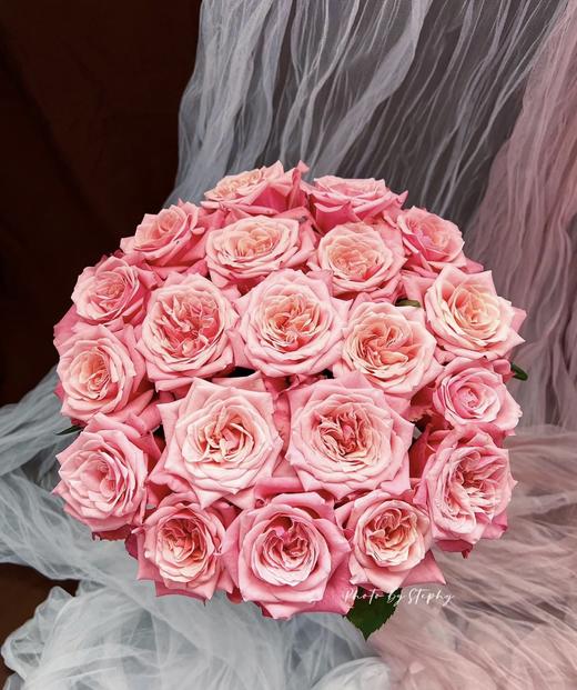 【昆明玫瑰】闺蜜 20枝  A级 商品图4