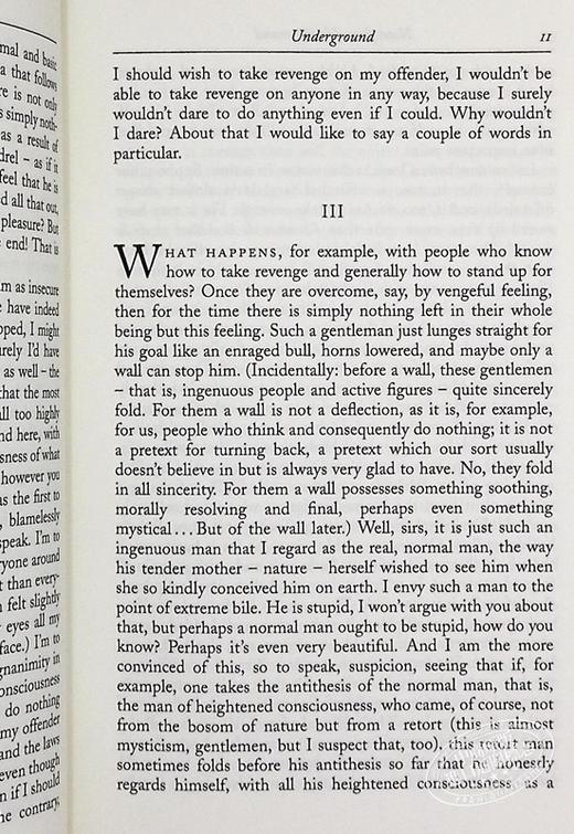 【中商原版】陀思妥耶夫斯基 地下室手记 英文原版 Everyman s Library Classics Notes from Underground Fyodor Dostoevsky 商品图8