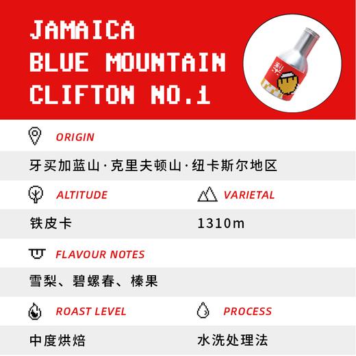 捌比特牙买加蓝山-克里夫顿庄园 水洗 中度烘焙 精品咖啡豆100g 商品图1