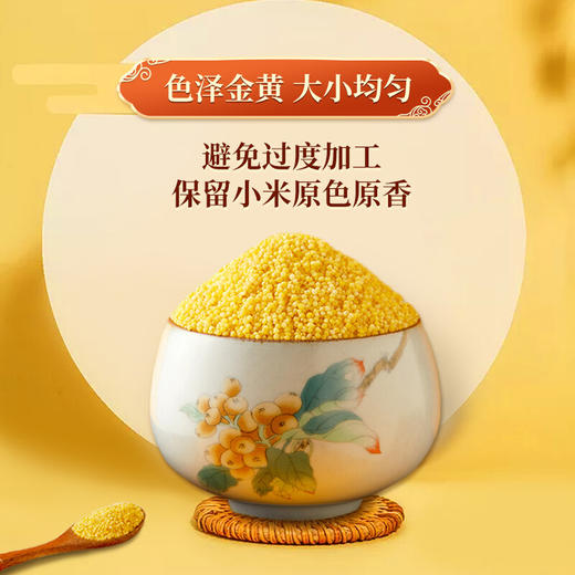十月稻田 山西黄小米 五谷杂粮 山西特产 小米粥小米黄小米月子米粗粮真空包装家庭袋装2.5kg 商品图2