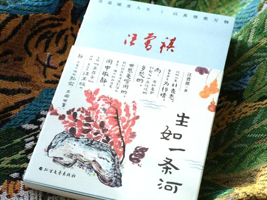 【汪曾祺家人授权审阅版】《汪曾祺“人间有趣”三部曲》（珍藏版软精装全3册）附赠6张汪曾祺手绘水墨插画书签| 治愈人心，当你觉得人生无趣，就读读汪曾祺。 商品图8