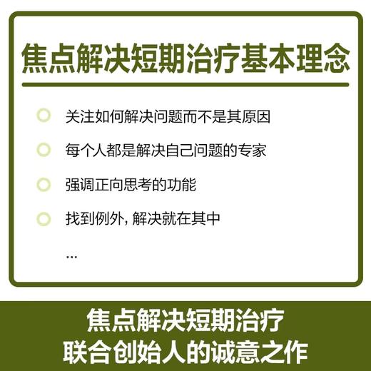 【社想系列4本】家庭与夫妻治疗：案例与分析等 商品图10