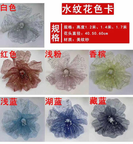 水纹花【运费自理】 商品图11