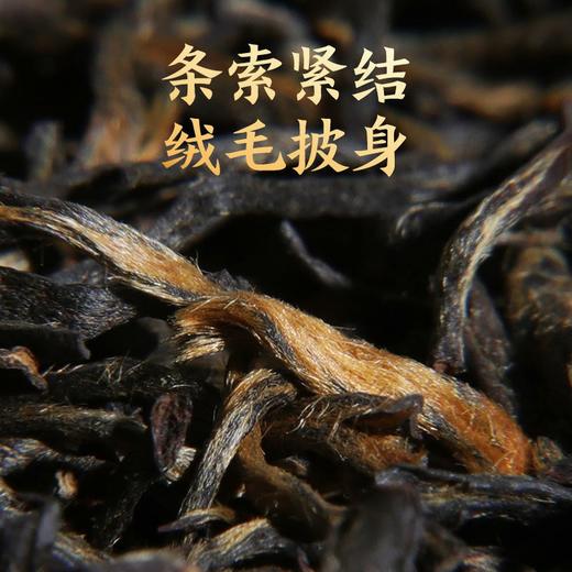 正山堂 | 百年老枞红茶 正山小种特级罐装 50g 商品图1