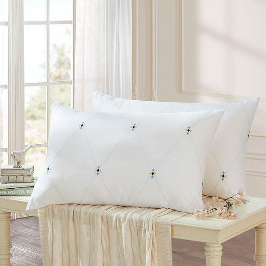 罗莱依莎抗菌对枕 商品图0