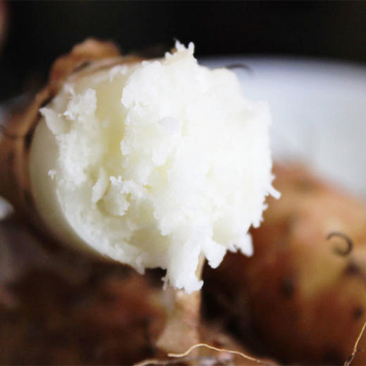 鲜铁棍怀山 | 鲜怀山药 | 5斤装 商品图1