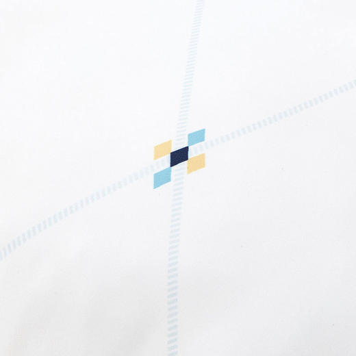 罗莱依莎抗菌对枕 商品图4