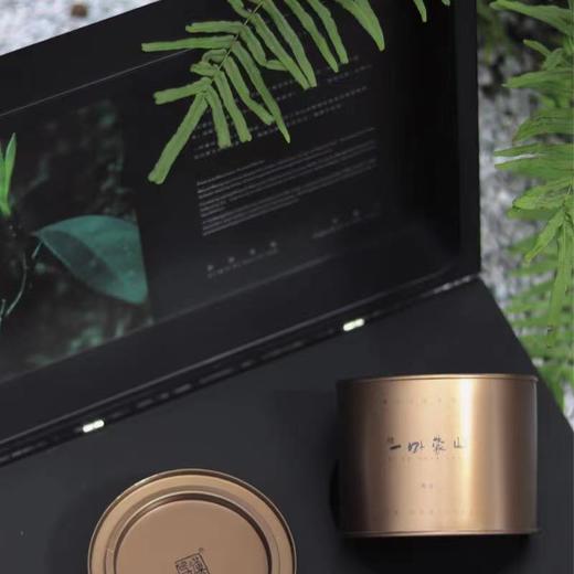 一叶蒙山·隽永 200g 商品图1