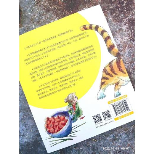 小茶匙老太太 注音全彩美绘版  商品图1