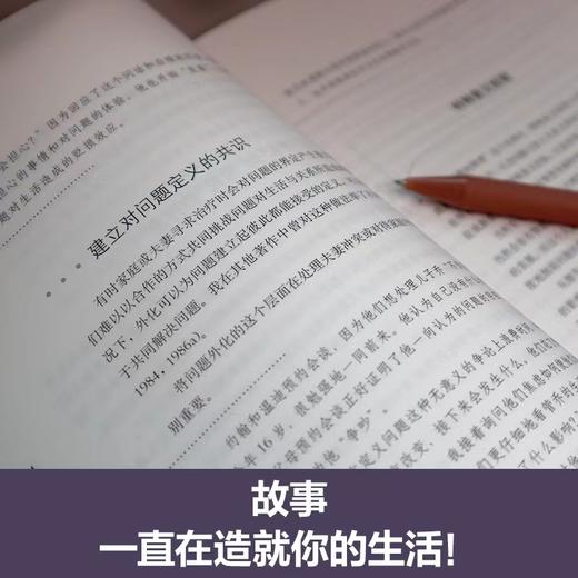 【社想系列4本】家庭与夫妻治疗：案例与分析等 商品图8