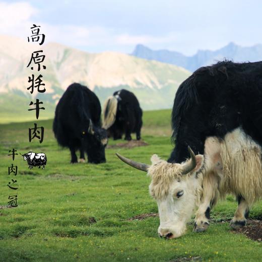 【牦牛肉•色达野放】4斤装（每月发3-4次鲜肉，大概每周发一次，其余时间可发冻肉） 商品图1