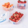 【NAKAYA日本冰箱保鲜收纳盒】食品冷冻盒便当盒透明饭盒塑料收纳盒 商品缩略图2