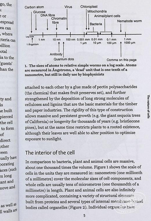 预售 【中商原版】The Cell: A Very Short Introduction 英文原版 牛津通识系列：细胞 Terence Allen,Graham J. Cowling 商品图8