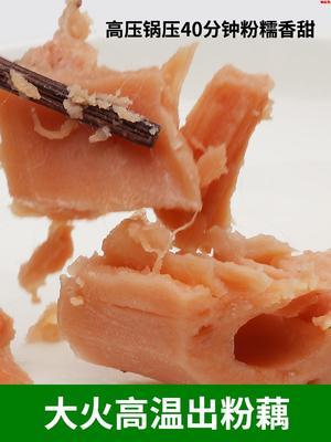 三色洪湖粉藕汤900g 商品图4