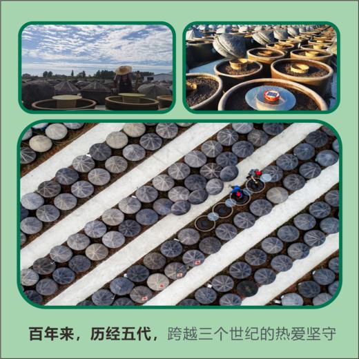 古法头抽酱油  488克 商品图3