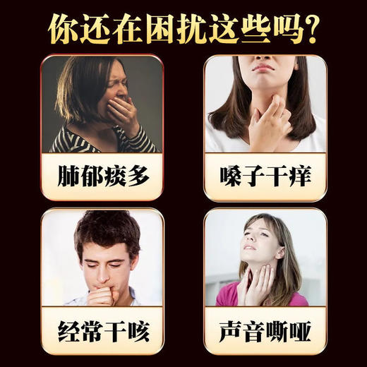 【清肺茶】南京同仁堂罗汉果胖大海枇杷茶 养生茶  护嗓润喉花茶 商品图5