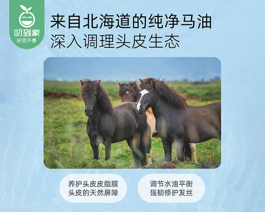 日本咖思美熊野油脂马油洗发液（600ml/瓶） 商品图2