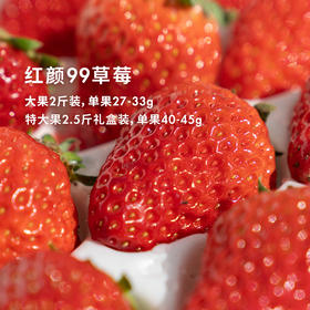 草莓季来啦！【丹东红颜99草莓】+【上海青浦红颜草莓】！