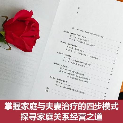 【社想系列4本】家庭与夫妻治疗：案例与分析等 商品图2