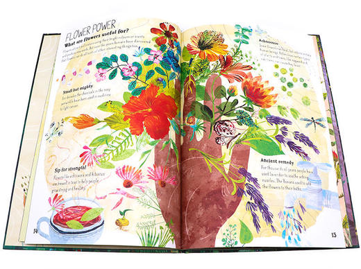 【5-12岁】伦敦皇家艺术学院收藏科普大书 Big Book全5册 赠音频 商品图4