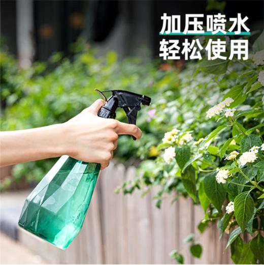 得力DL581005喷水壶500ml(绿) 商品图3