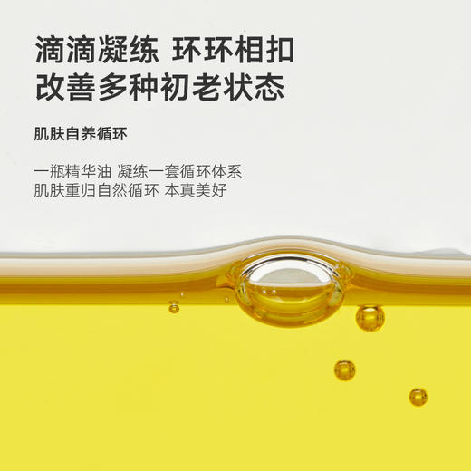 DAISYSKY雏菊的天空丨桂影慕兰紧致精华油15ml/30ml 商品图4