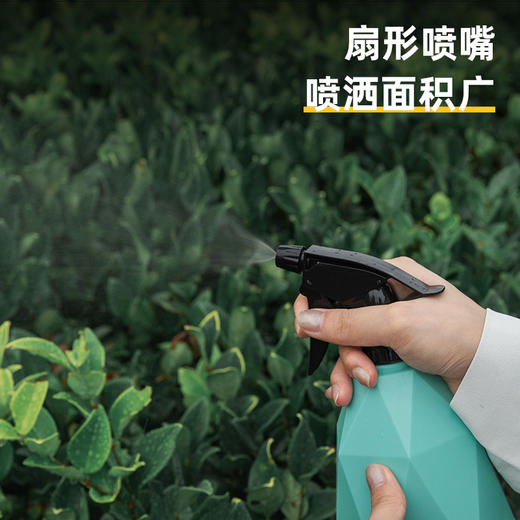 得力DL581005B喷水壶600ml(绿) 商品图2