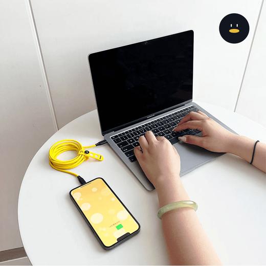 怪奇鹅快充数据线 商品图3