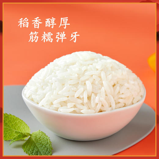 十月稻田 寒地之最 五常有机稻花香米 东北大米5kg 商品图6