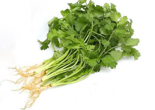 香菜1份 约2两 商品图0