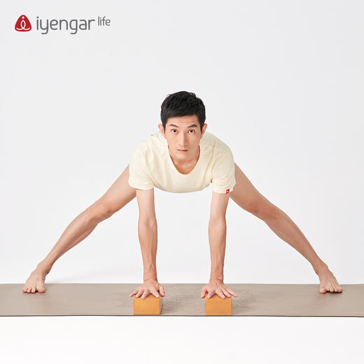 艾扬格 life  A1002瑜伽砖 瑜伽实木砖 榉木 商品图4