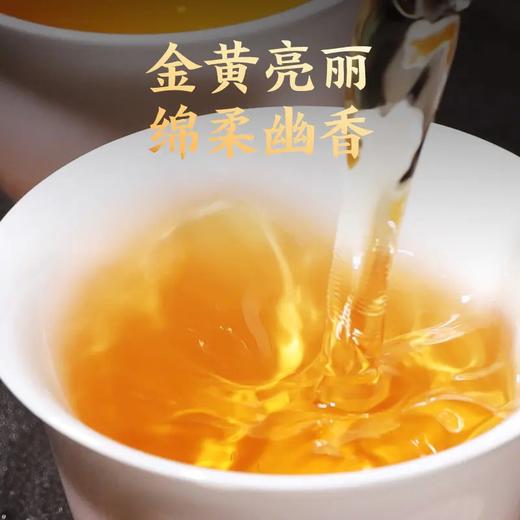 正山堂 | 正山小种野茶红茶特级 罐装50g 商品图2