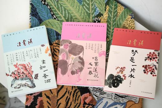 【汪曾祺家人授权审阅版】《汪曾祺“人间有趣”三部曲》（珍藏版软精装全3册）附赠6张汪曾祺手绘水墨插画书签| 治愈人心，当你觉得人生无趣，就读读汪曾祺。 商品图1