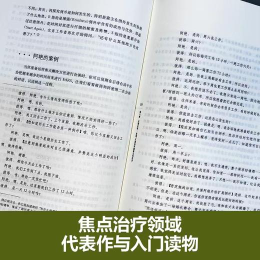 【社想系列4本】家庭与夫妻治疗：案例与分析等 商品图11