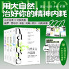 自然美文四部曲 瓦尔登湖+寂静的春天+沙乡年鉴+夏季走过山间 梭罗等 著 文学 商品缩略图1