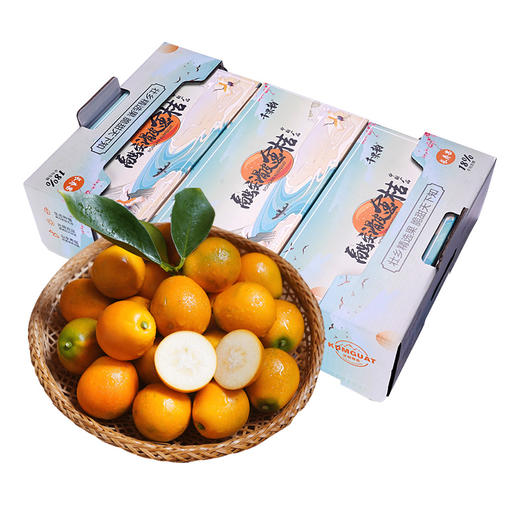 【广西·融安】滑皮金桔 脆皮金桔 融安翠蜜柑橘 当季水果新鲜橘子 商品图2